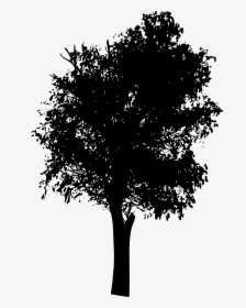 Tree Silhouette 2 - Transparent Background Tree Silhouette Png, Png Download, Free Download