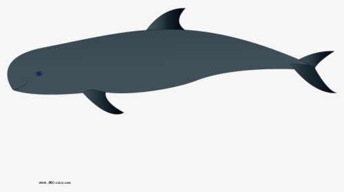 0 Whale Clip Art Clipart Fans - Wholphin, HD Png Download, Free Download