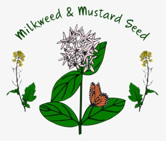 Milkweed & Mustard Seed Is A Local Project To Help - Monarch Butterfly, HD Png Download, Free Download