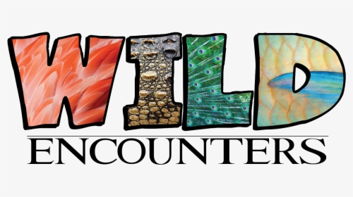 Wild Encounter Image - Graphic Design, HD Png Download, Free Download