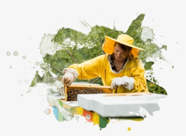Women In Yellow Raincoat Works With Honecomb"  Width="653"  - Sitting, HD Png Download, Free Download
