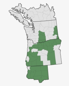 Eriogonum Oregon Map, HD Png Download, Free Download