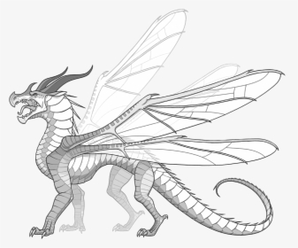 Wings Of Fire Fanon Wiki - New Species Of Wings Of Fire Drawings, HD Png Download, Free Download