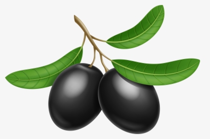 Black Olives Transparent Png Clip Art Image - Olives Clipart Png, Png Download, Free Download