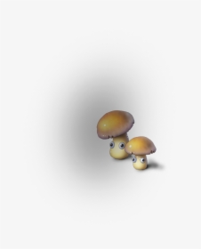 Transparent Mushroom Png - Shiitake, Png Download, Free Download