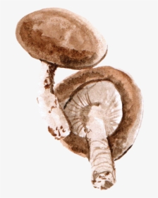 File - 香菇mushroom - Mushroom Watercolor Png, Transparent Png, Free Download