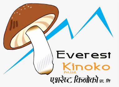 Everest Kinoko - Shiitake, HD Png Download, Free Download
