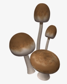 Brown Mushrooms - Mushroom, HD Png Download, Free Download