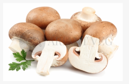 Shiitake, HD Png Download, Free Download