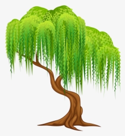 Pin By Kim Heiser - Drawing Weeping Willow Tree, HD Png Download, Free Download
