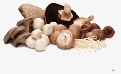Dried Shiitake Mushrooms Sliced - Mushrooms Png, Transparent Png, Free Download