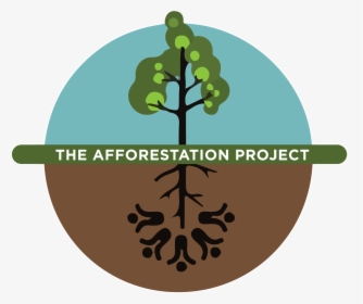 The Afforestation Project - Afforestation Project, HD Png Download, Free Download
