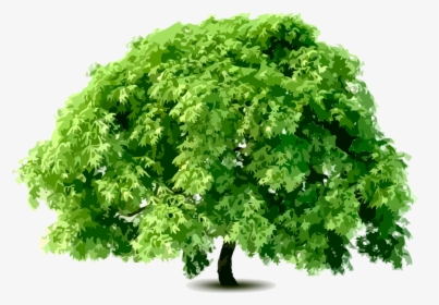 Tree Pattern On A - Tree, HD Png Download, Free Download
