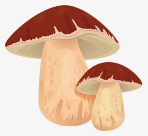 Mushrooms Clipart Champignon Mushroom - ポルチーニ イラスト, HD Png Download, Free Download