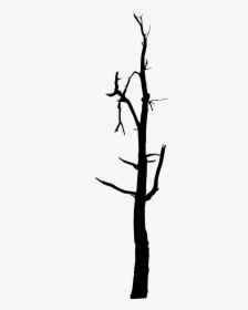 Stick Clipart Bare Branch - Pine Tree Trunk Silhouette Png, Transparent Png, Free Download