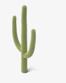 Saguaro Cactus Png Image - Cactus Png, Transparent Png, Free Download