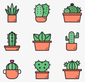 Cactus - Cactus Icons, HD Png Download, Free Download