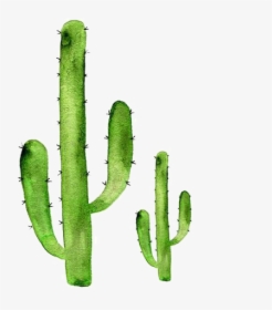 Sticker Art Cactaceae Succulent Plant Redbubble - Transparent Cactus Background Png, Png Download, Free Download