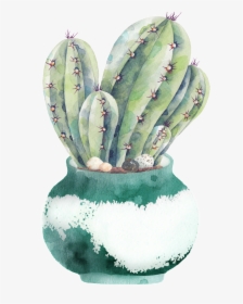 Hand Painted A Plate Of Cactus Png Transparent - Planting Cactus Watercolor Illustration, Png Download, Free Download
