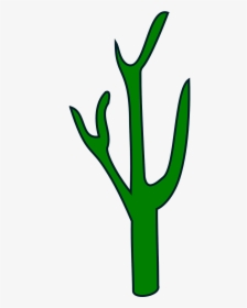 Green Plant Cacti, HD Png Download, Free Download