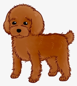 Goldendoodle Puppy Dog Breed Water Dog Companion Dog - Companion Dog, HD Png Download, Free Download