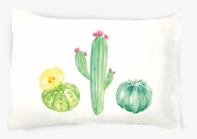 Transparent Pillowcase Clipart - Cactus, HD Png Download, Free Download