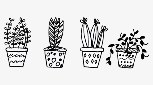 Plants, Flowerpot, Cacti, Flowers, Flower, Plant - Cactus Black And White Png, Transparent Png, Free Download