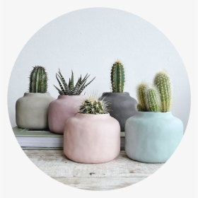 Tumblr Aesthetic Pastel Kaktus Png Cactus Aesthetic - Vase Pastel, Transparent Png, Free Download