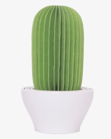 Cactus Non Electric Personal Humidifier In Green"   - Hedgehog Cactus, HD Png Download, Free Download