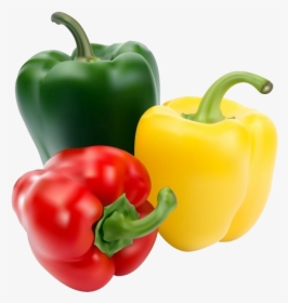 Paprika Png Image - Capsicum Red And Yellow Png, Transparent Png, Free Download