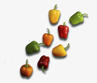 Transparent Tinkerbell Png - Habanero Chili, Png Download, Free Download