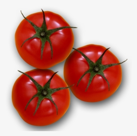 Plum Tomato Bush Tomato - Plum Tomato, HD Png Download, Free Download