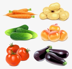Leek Tomato Clip Art - Imagens De Legumes Para Imprimir, HD Png Download, Free Download