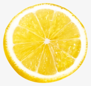 Lemon Slice Png, Transparent Png, Free Download