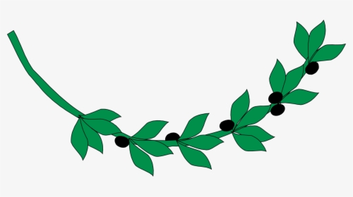 Plant,flora,leaf - Ancient Greece Olive Branch, HD Png Download, Free Download