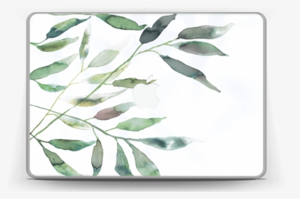 Olive Skin Macbook Pro 13” - Russian Olive, HD Png Download, Free Download