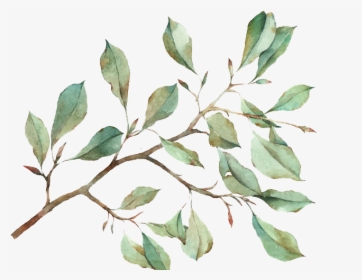 Watercolour Leaves Transparent Background, HD Png Download, Free Download