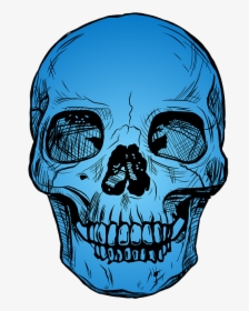Skull, Blue, Skeleton, Death, Symbol, Dead, Bone, Head - Black And White Pic Of Skull, HD Png Download, Free Download
