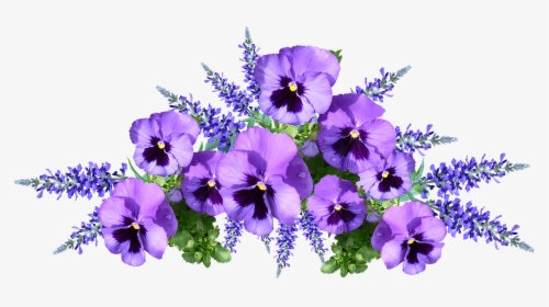 Flowers, Pansies, Purple, Arrangement, Cut Out - Pansies Png, Transparent Png, Free Download