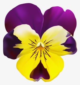 Clip Art Flowers Pansies - Pansy Flower Png, Transparent Png, Free Download