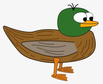 Drawing Ducks, Picture - Duck With No Legs, HD Png Download, Free Download