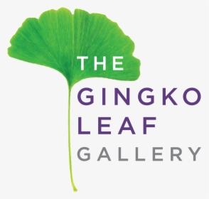 The Gingko Leaf Gallery - Tree, HD Png Download, Free Download