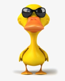 Pictures Photography Illustration Royalty-free Mallard - Duck With Sunglasses Clipart, HD Png Download, Free Download