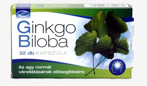 Innopharm Ginkgo Biloba Capsule - Ginkgo Biloba, HD Png Download, Free Download