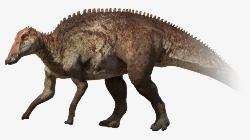 Edmontosaurus Png, Transparent Png, Free Download