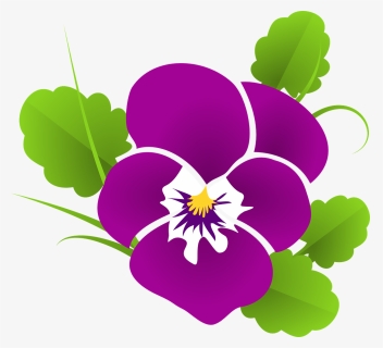 Pansy, Violet, Viola, Violaceae, Blossom, Bloom, Flower - New Beautiful Wishes Morning, HD Png Download, Free Download