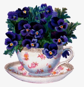 #beautiful Teacup And Pansies Graphic - Pansies In Tea Cup, HD Png Download, Free Download