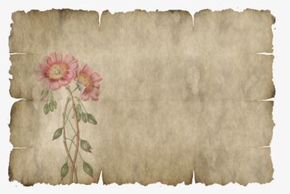 Parchment, Paper, Leaves, Flower, Old, Texture - Hoja De Pergamino Png, Transparent Png, Free Download