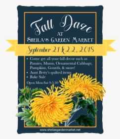 Fall Daze Are September 21 &22, - English Marigold, HD Png Download, Free Download