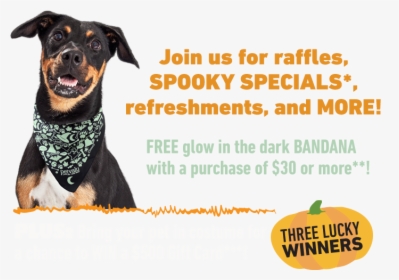 Join For Raffles, Spooky Specials*, Refreshments, And - Companion Dog, HD Png Download, Free Download